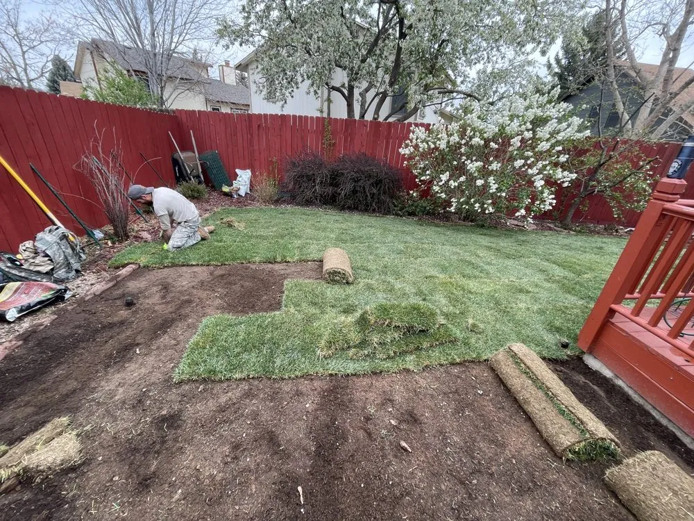 Professional lawn mowing service in Boulder, CO - Magic Beans Landscaping