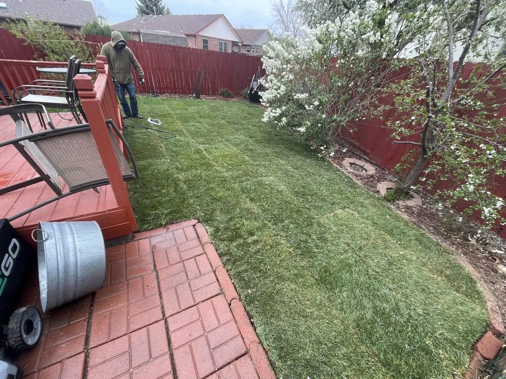 Affordable landscape design experts serving Boulder, CO - Magic Beans Landscaping