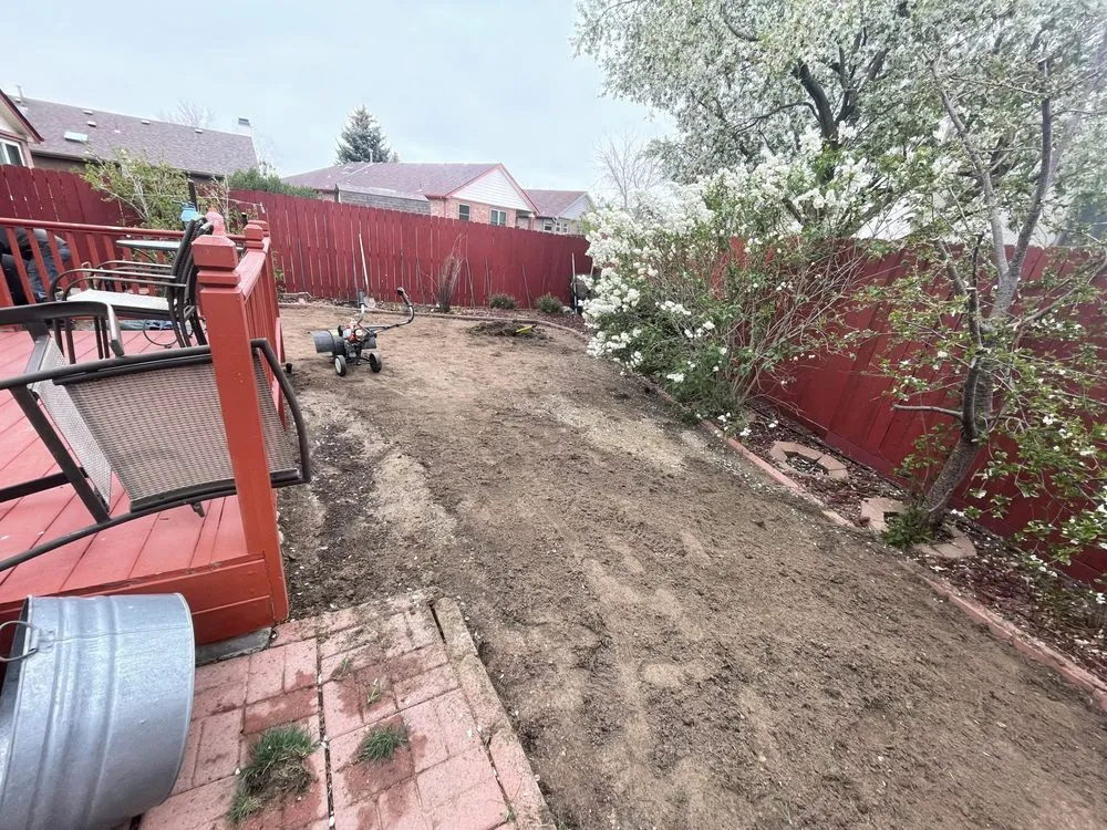 Professional lawn mowing service for year-round maintenance in Boulder, CO by Magic Beans Landscaping