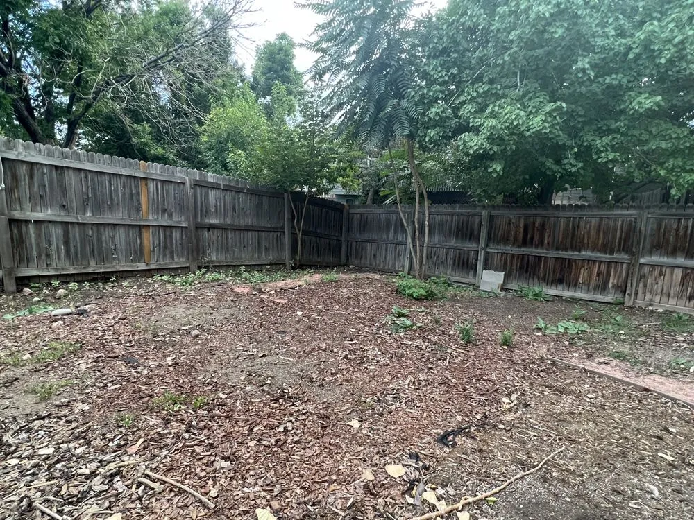 Local garden landscaping experts serving Boulder, CO - Magic Beans Landscaping