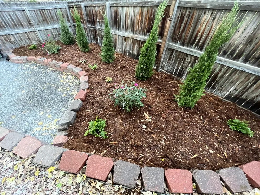 Reliable lawn care service in Boulder, CO by Magic Beans Landscaping