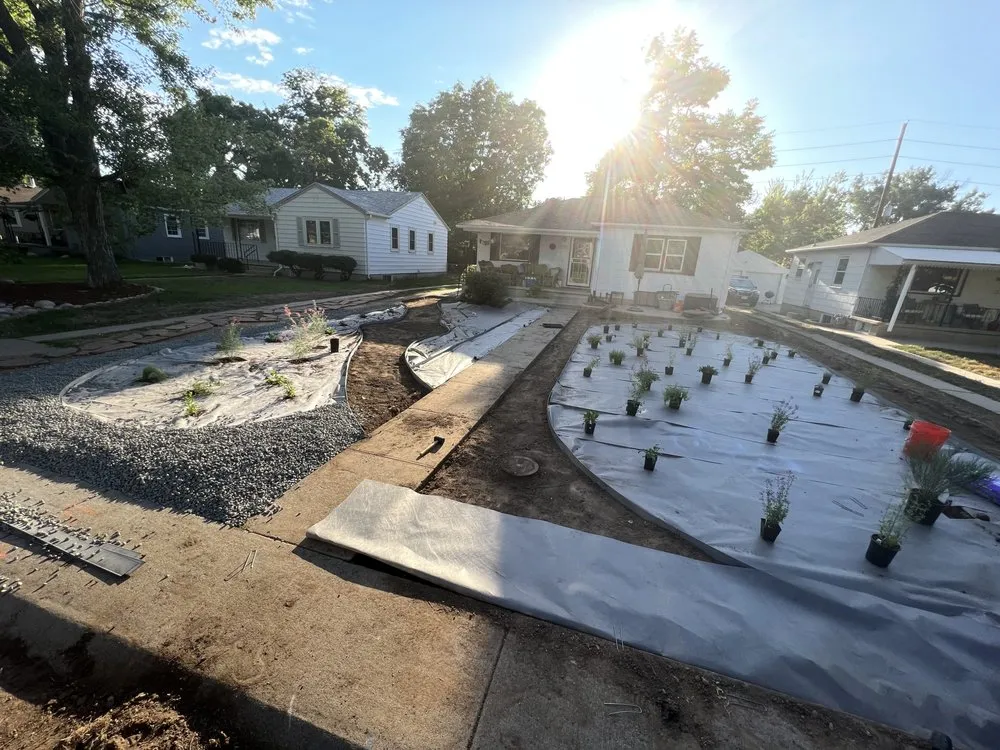 Top-rated yard cleanup service in Boulder, CO - Magic Beans Landscaping