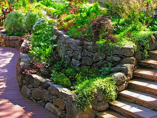 Affordable yard cleanup service in Oakland, CA - Magic Gardens Landscaping