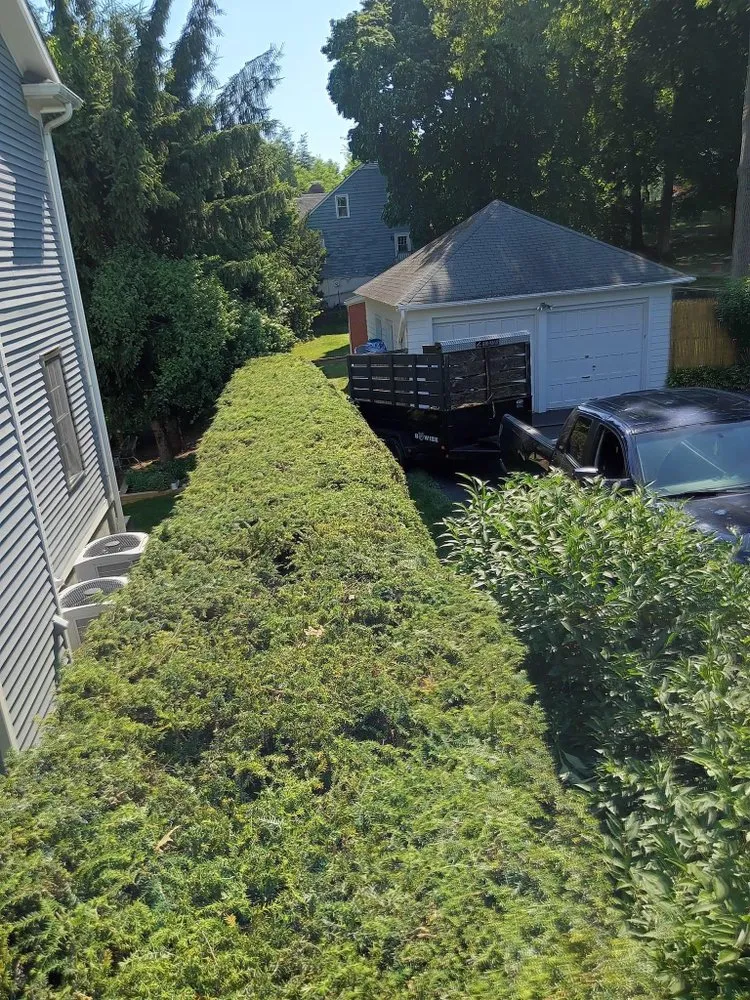 Affordable garden landscaping in Hales Corners, WI - Magic Hands