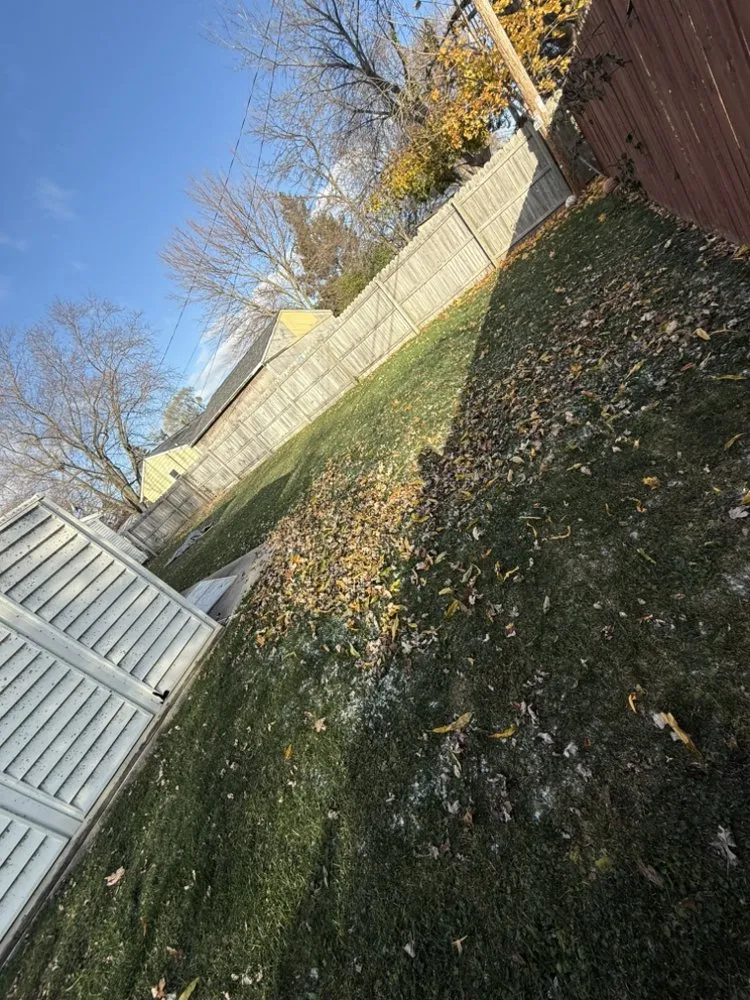 Affordable garden landscaping experts serving Hales Corners, WI - Magic Hands