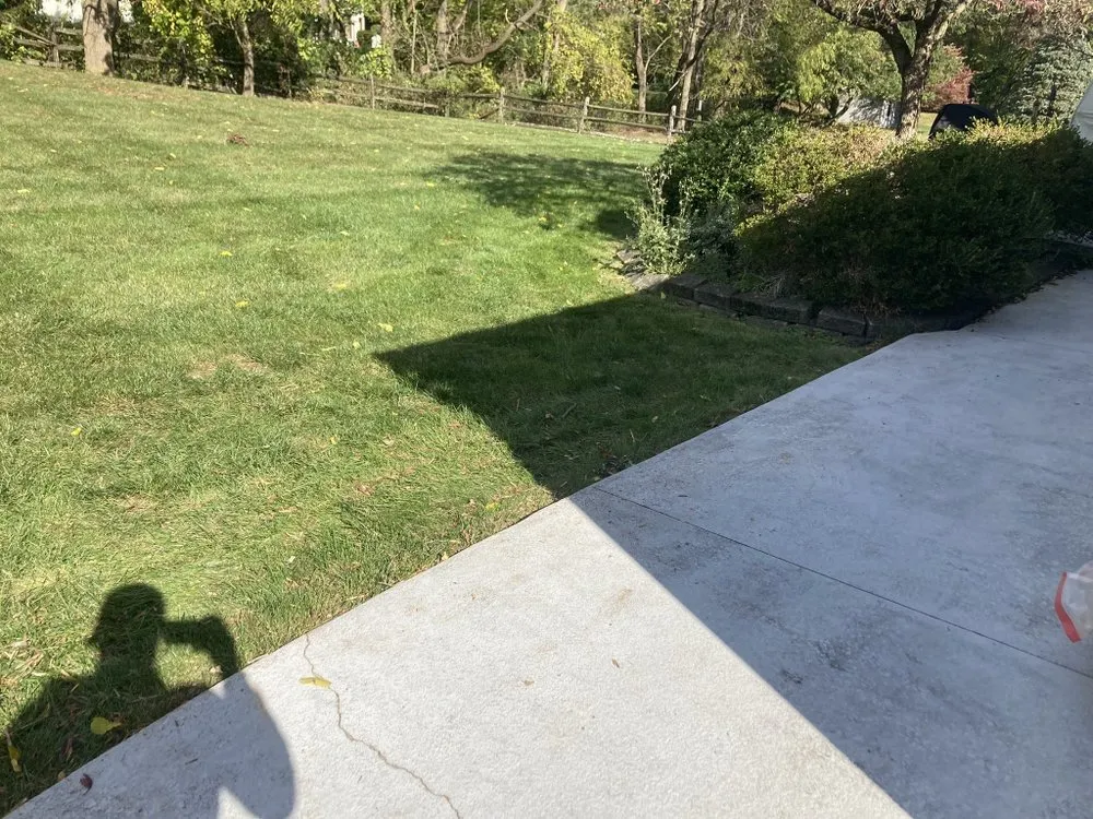 Expert lawn mowing service for year-round maintenance in Allentown, PA by Magic Junk Removal