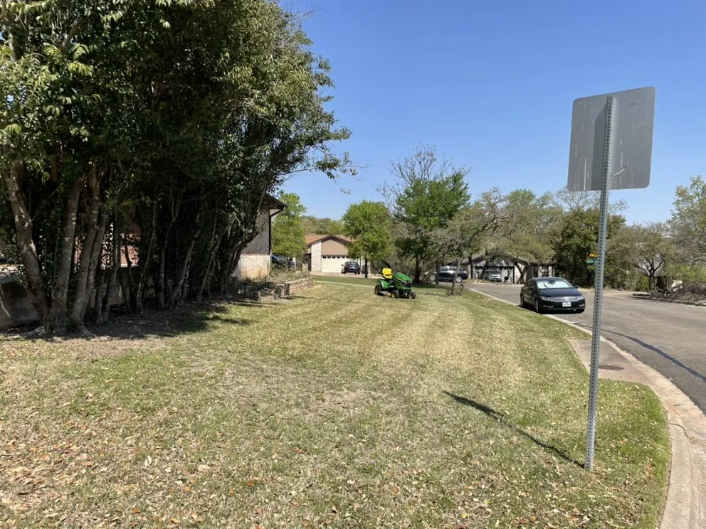 Professional yard cleanup service in Austin, TX - Magic Landscape