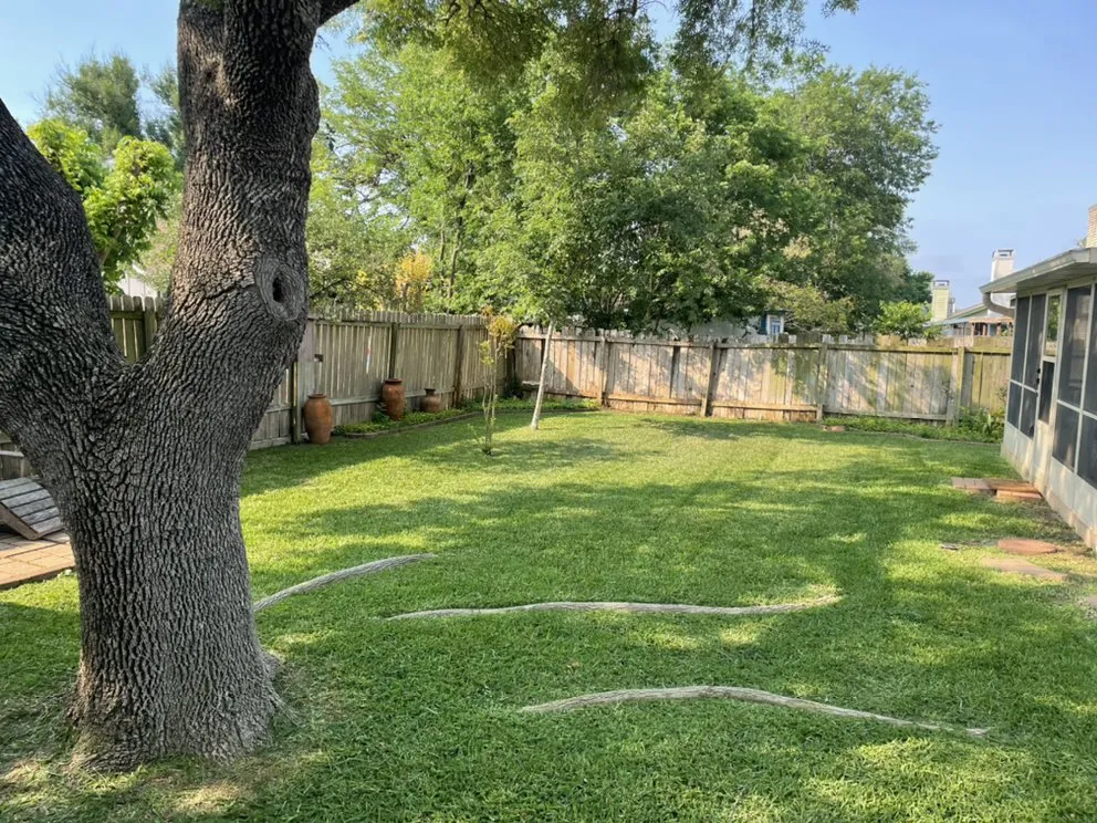 Top-rated outdoor landscaping for residential properties in Austin, TX by Magic Landscape