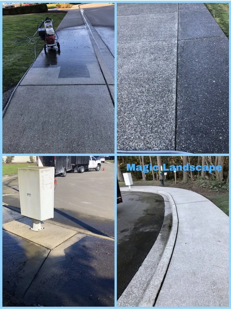 Local yard cleanup service near you across Everett wa, WA - Magic Landscape