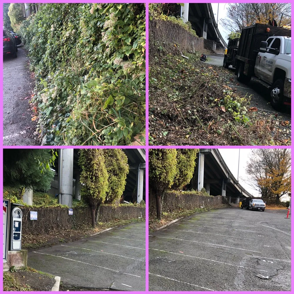 Trusted outdoor landscaping for residential properties across Everett wa, WA - Magic Landscape