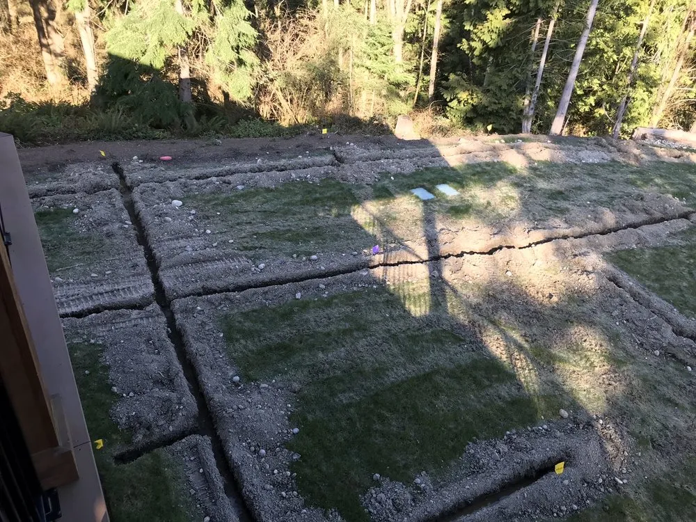 Professional yard cleanup service in Everett wa, WA by Magic Landscape