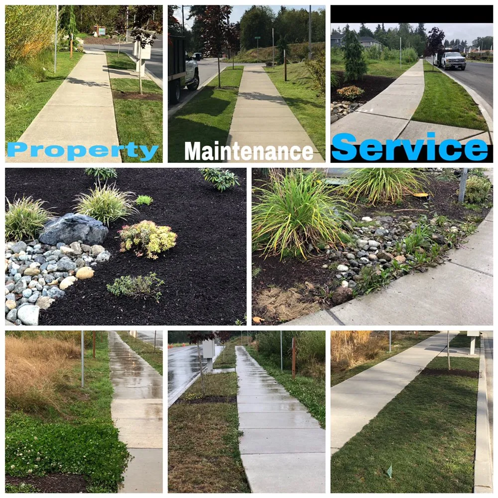 Trusted yard cleanup service for beautiful yards in Everett wa, WA by Magic Landscape