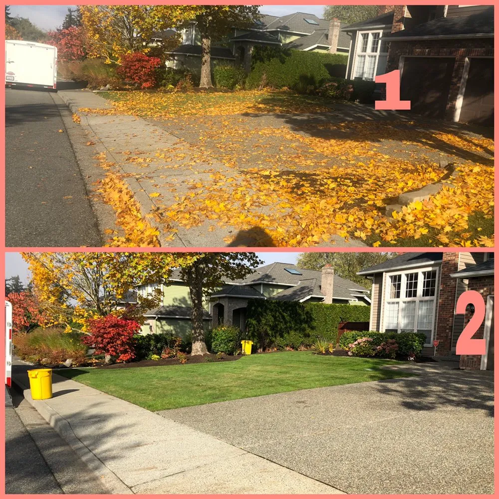 Custom residential landscaping near you in Everett wa, WA by Magic Landscape