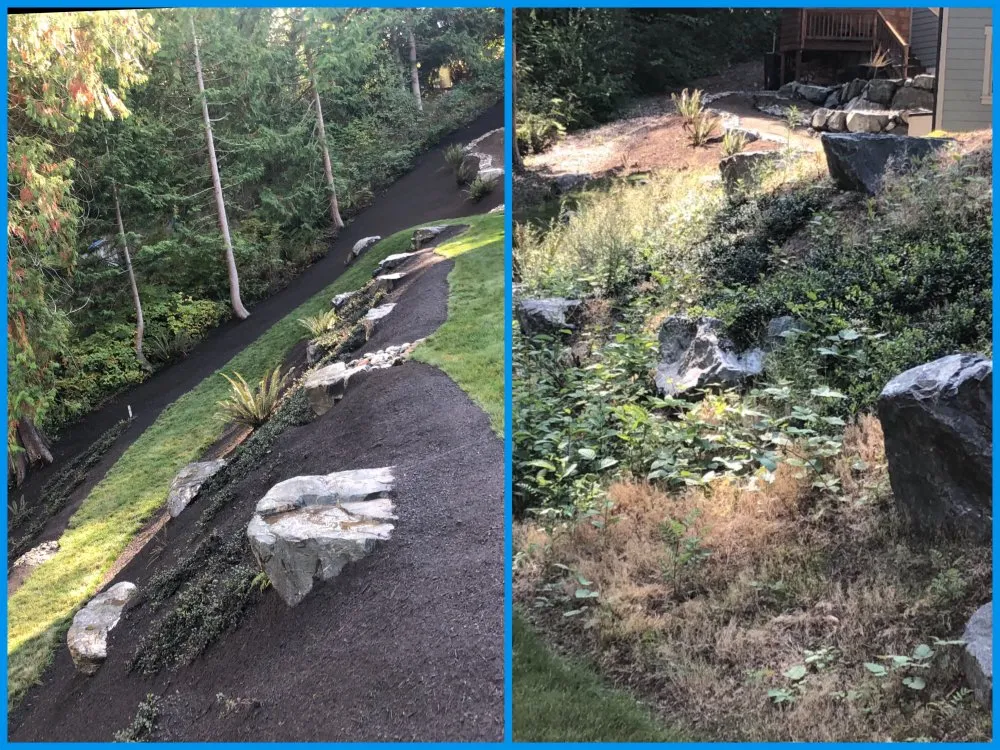 Professional landscape design in Everett wa, WA by Magic Landscape