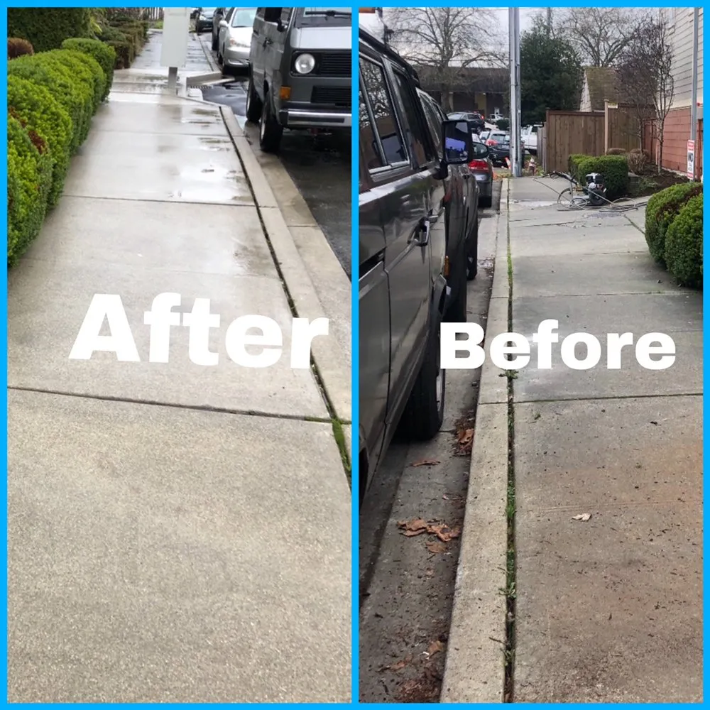 Affordable lawn mowing service experts serving Everett wa, WA - Magic Landscape