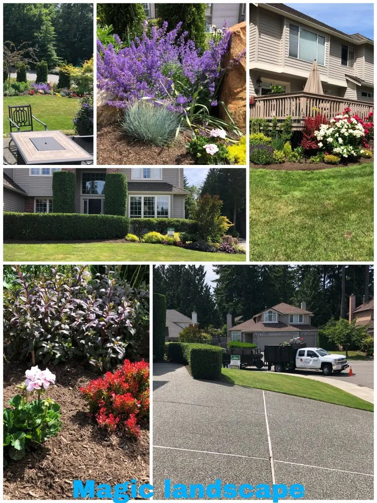 Expert landscape installation in Everett wa, WA - Magic Landscape