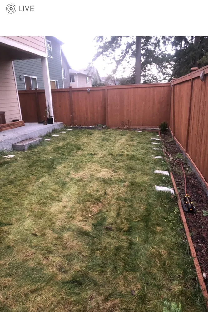 Trusted lawn care service for residential properties across Everett wa, WA - Magic Landscape