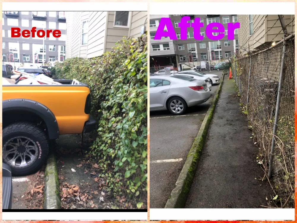 Custom yard maintenance in Everett wa, WA by Magic Landscape