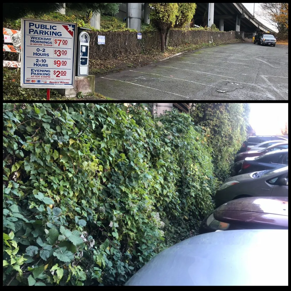 Professional outdoor landscaping experts serving Everett wa, WA - Magic Landscape