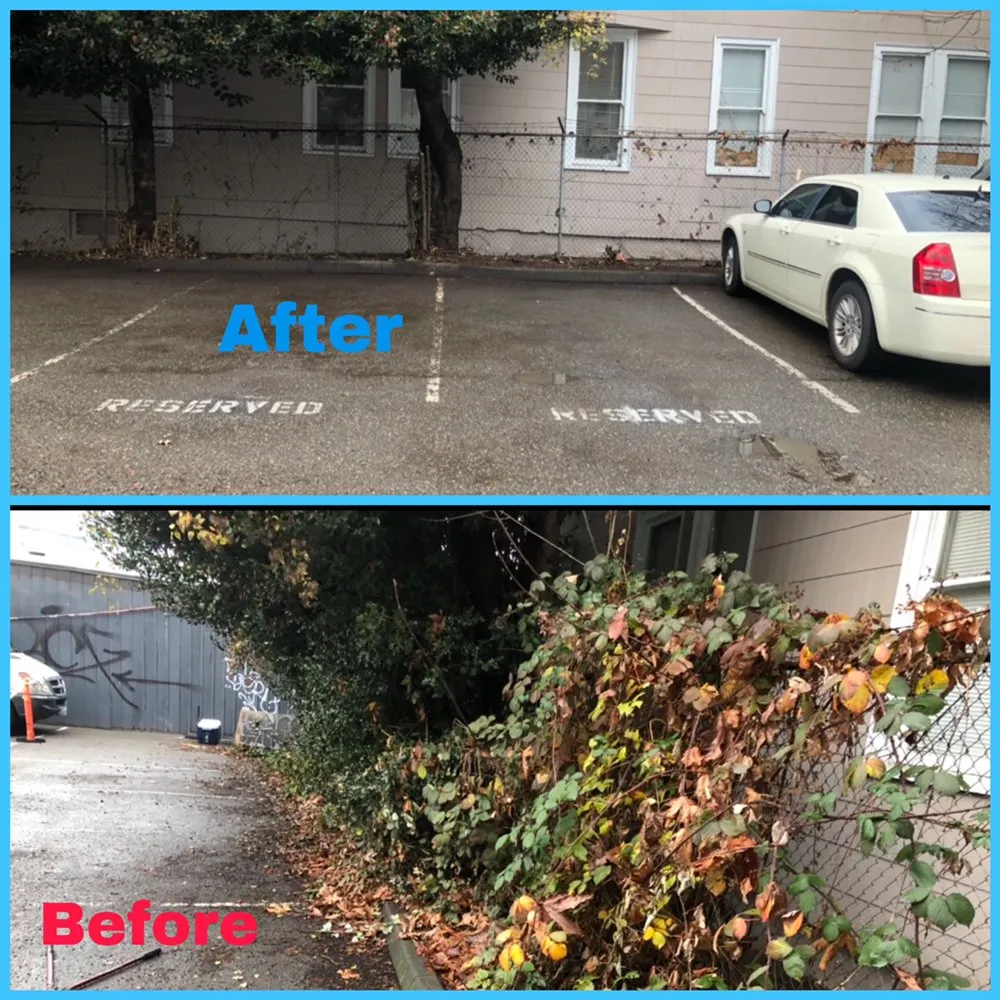 Affordable yard maintenance in Everett wa, WA by Magic Landscape