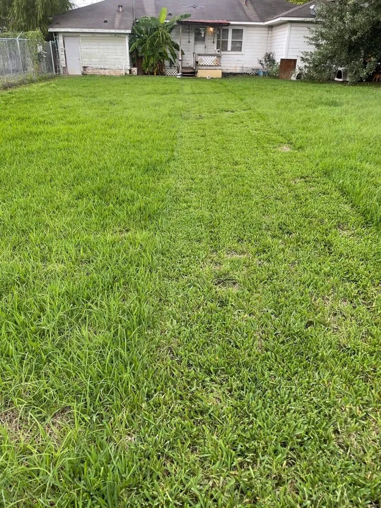 Reliable lawn mowing service in San Marcos, CA - Magic Landscape