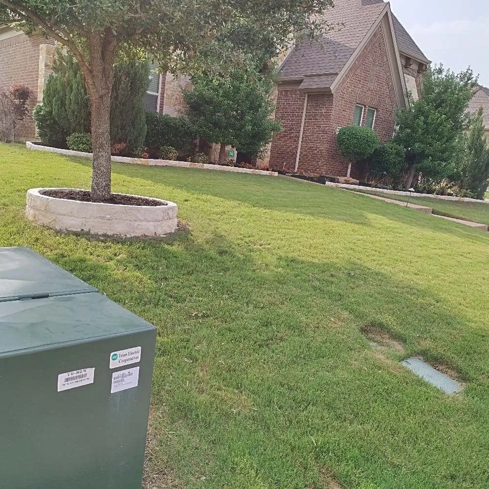 Top-rated lawn care service for beautiful yards across San Marcos, CA - Magic Landscape