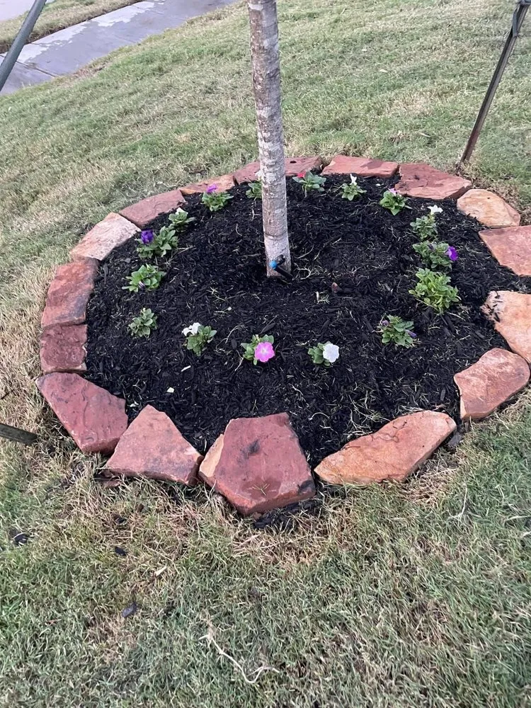 Trusted lawn care service in San Marcos, CA - Magic Landscape