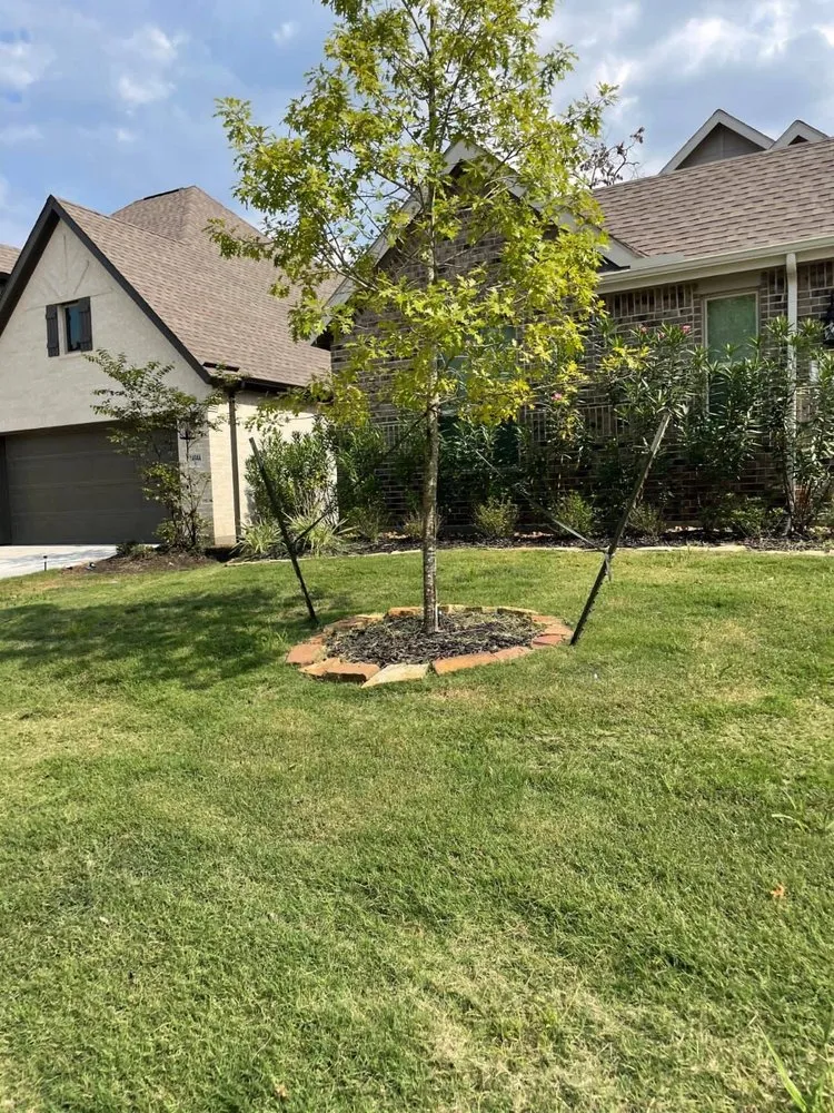 Top-rated landscaping services in San Marcos, CA by Magic Landscape