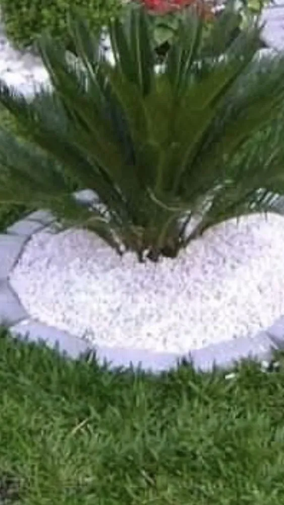 Reliable yard maintenance in Chapel Hill, NC - Magic landscaping