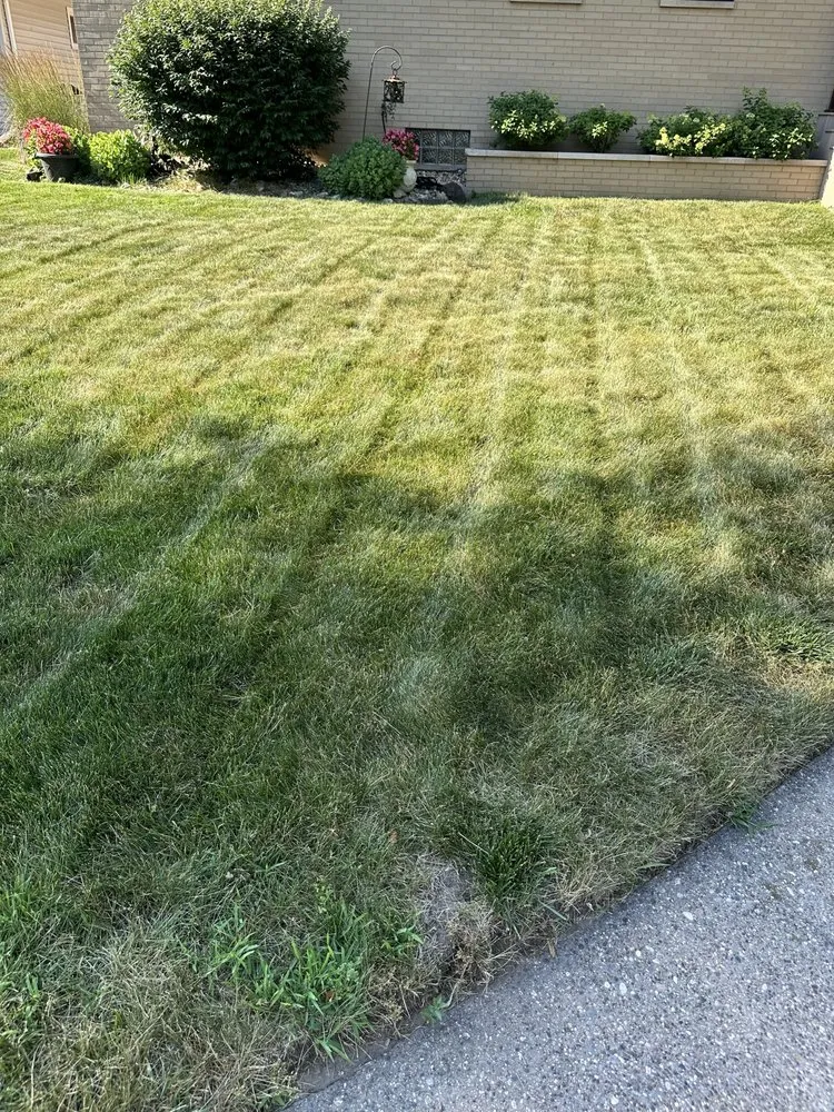 Affordable lawn care service for year-round maintenance in Highland, IN by Magic Lawn Services