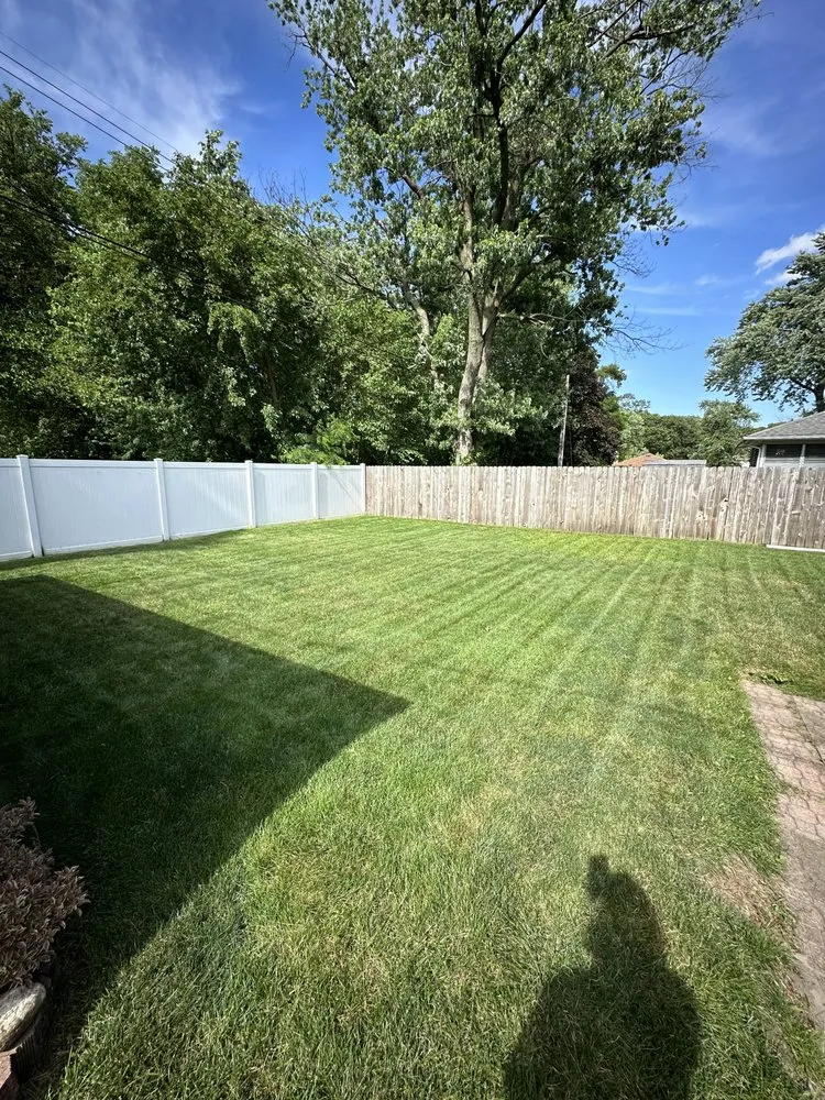 Reliable yard cleanup service in Highland, IN - Magic Lawn Services