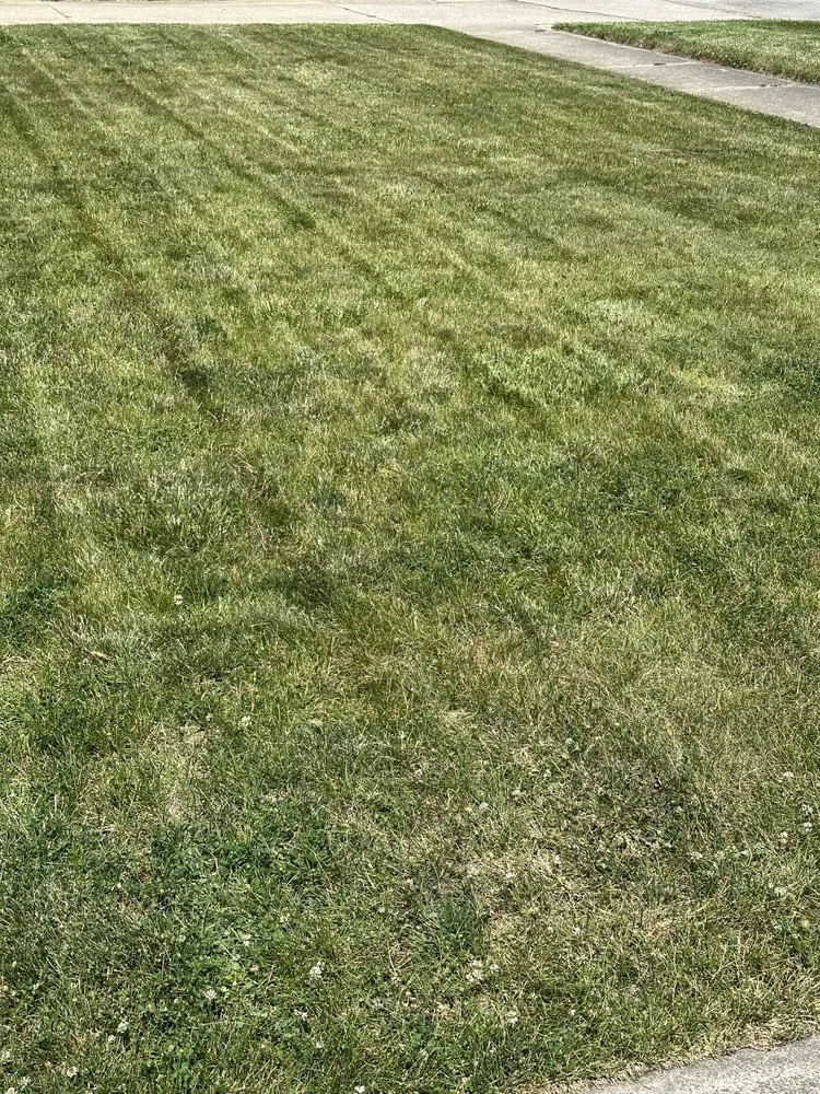 Reliable landscape design in Highland, IN - Magic Lawn Services