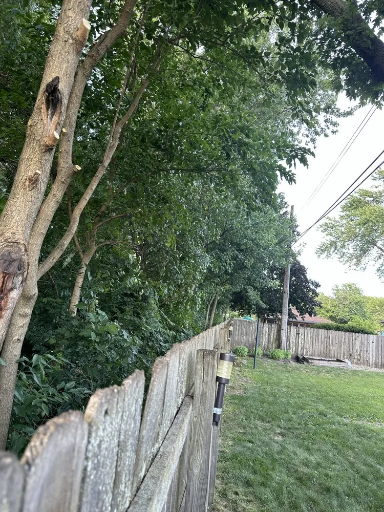 Professional yard cleanup service in Highland, IN by Magic Lawn Services