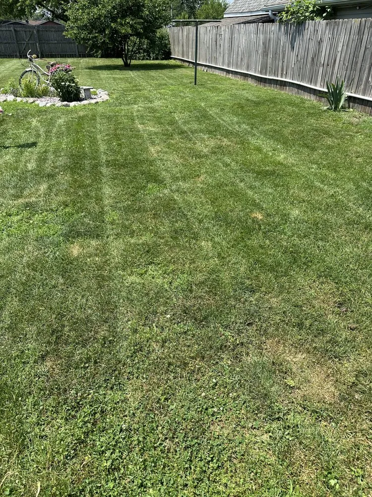 Affordable lawn mowing service in Highland, IN - Magic Lawn Services