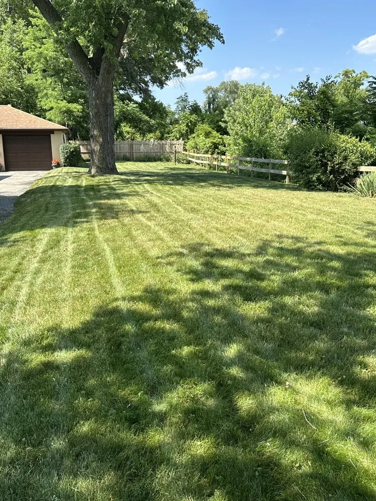 Trusted lawn care service in Highland, IN by Magic Lawn Services