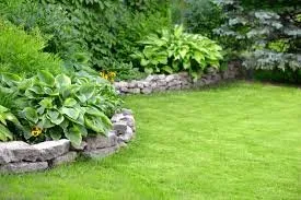Expert yard maintenance experts serving Sheridan, WY - Magic Lawn