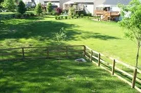 Reliable landscape design for homes in Sheridan, WY by Magic Lawn