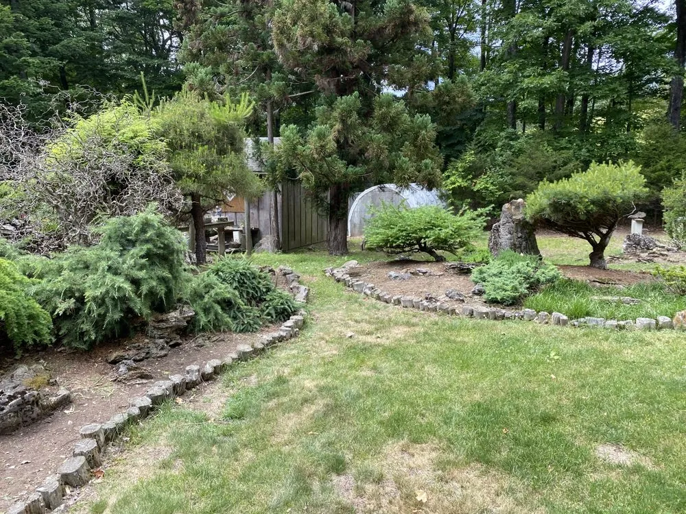 Professional yard cleanup service in Portland, PA - Magic Maintenance