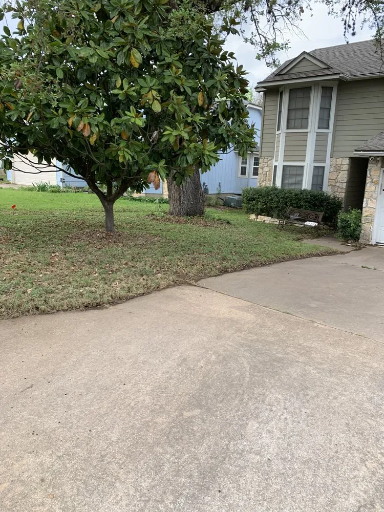 Trusted yard maintenance for beautiful yards across Cedar Park, TX - Magic Manny's Lawn Care