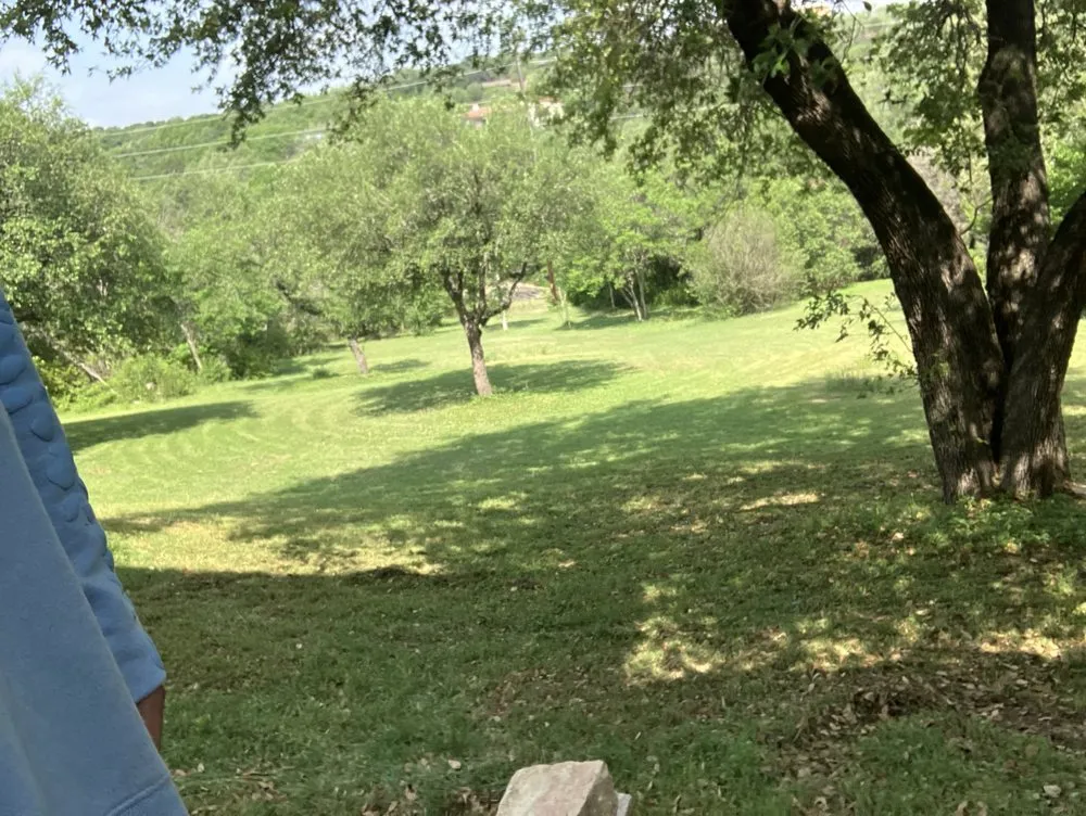 Top-rated landscape design experts serving Cedar Park, TX - Magic Manny's Lawn Care