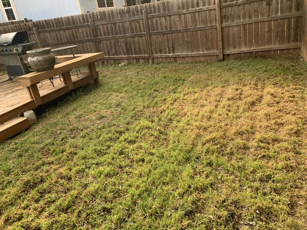 Local outdoor landscaping in Cedar Park, TX by Magic Manny's Lawn Care