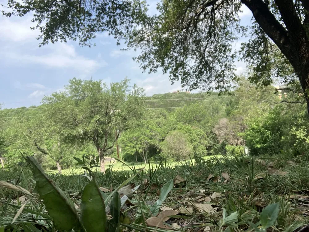 Professional yard maintenance for homes across Cedar Park, TX - Magic Manny's Lawn Care