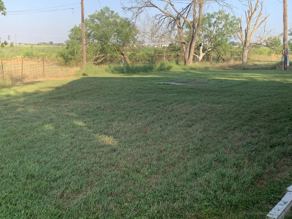 Affordable landscape design in Cedar Park, TX - Magic Manny's Lawn Care