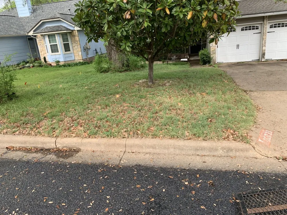 Top-rated lawn care service for homes in Cedar Park, TX by Magic Manny's Lawn Care