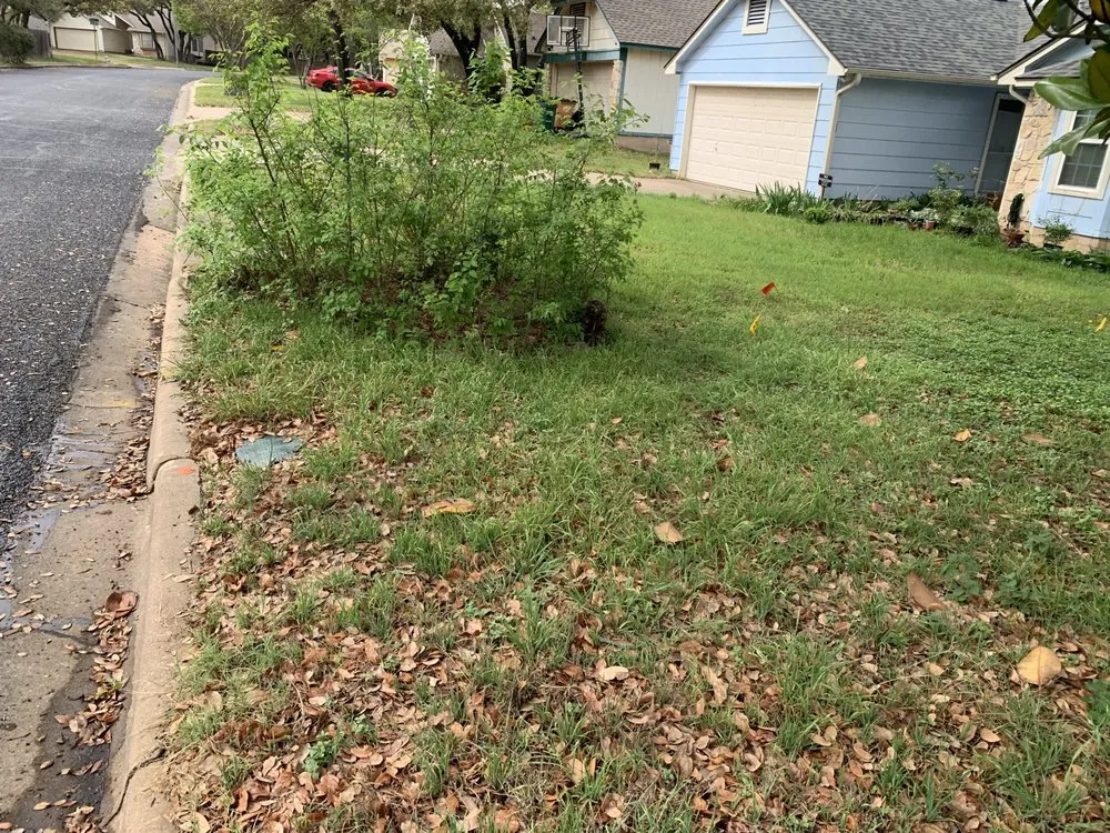 Trusted landscape installation for year-round maintenance in Cedar Park, TX by Magic Manny's Lawn Care