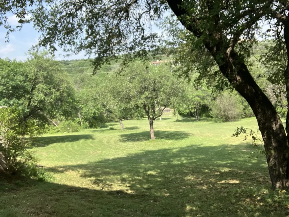 Professional lawn care service for homes in Cedar Park, TX by Magic Manny's Lawn Care