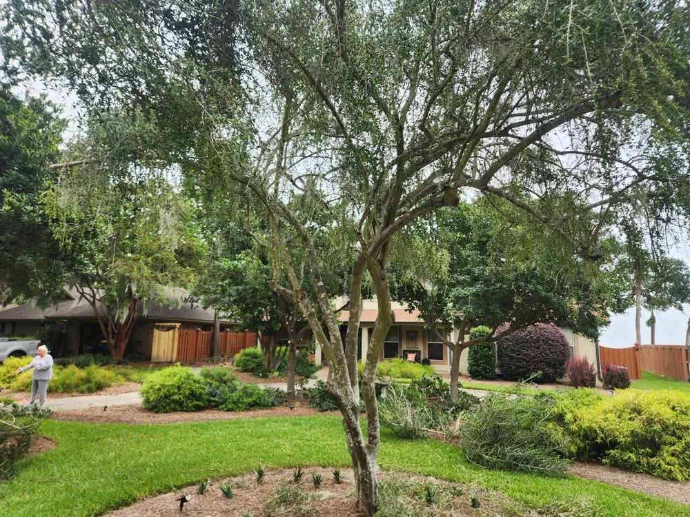 Local lawn mowing service in Savannah, GA - Magic Mowers