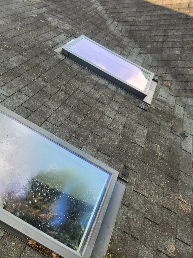 Custom landscape design for homes in Savannah, GA by Magic Mowers