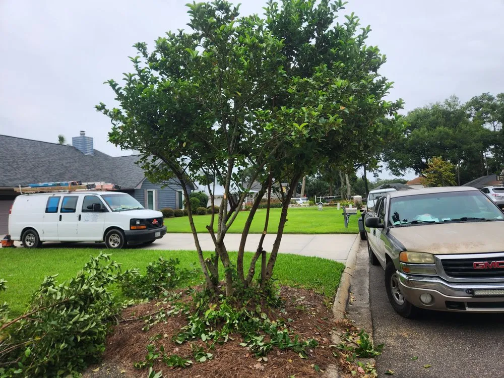 Local landscape design with custom design across Savannah, GA - Magic Mowers