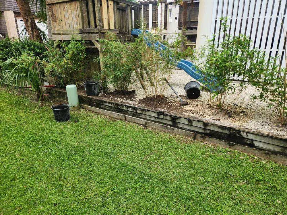 Expert yard cleanup service in Savannah, GA by Magic Mowers